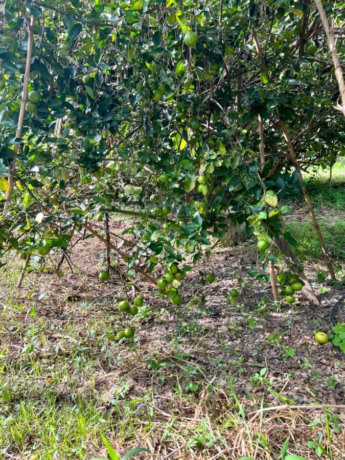 Phow Homestay Ban Mai  ภายนอก รูปภาพ